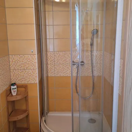 Drava House By Bucinek Muta